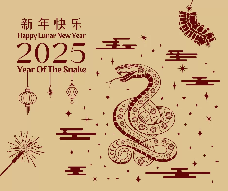 2025 Chinese New year flyer